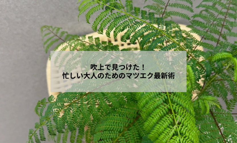 吹上でのマツエク最新トレンドを感じるナチュラルな目元と癒しのサロン内風景の写真