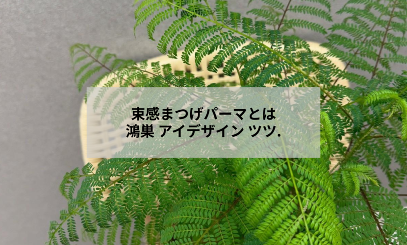 鴻巣のアイデザインツツ.で施術した束感まつげパーマの仕上がりイメージ